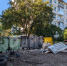 Стало известно, когда в Петрозаводске начнут травить крыс - Gubdaily.Ru