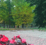 осень в Петрозаводске - Петрозаводск говорит