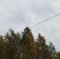 осенний день - Петрозаводск говорит