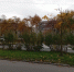 осенняя улица - Петрозаводск говорит