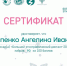 Народов много − страна одна - ПетрГу