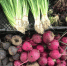 Названо, какие продукты защищают от рака кожи - Gubdaily.Ru