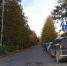осенняя улица - Петрозаводск говорит
