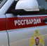 14 правонарушителей задержаны карельскими росгвардейцами за минувшую неделю - Росгвардия