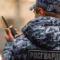 По итогам работы за неделю карельские росгвардейцы задержали 11 правонарушителей - Росгвардия