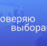 выборы - Петрозаводск говорит