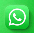 Логотип WhatsApp - Петрозаводск говорит