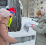 "Предпрофильный туристский класс": третий год успешной работы - ПетрГу