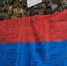 Студенты изучили опыт развития адаптивного спорта на межрегиональном волонтёрском форуме - ПетрГу