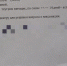 Детский тренер избил школьника на скейт-площадке в Петрозаводске, но его до сих пор не наказали - Gubdaily.Ru