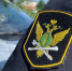 В Карелии пристав поговорил с должником и всего за 3 дня взыскал 200 тысяч рублей - StolicaOnego.Ru