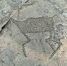 Два туристических маршрута с петроглифами планируют развивать в Карелии - StolicaOnego.Ru