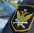 Пристав в Карелии помог взыскать 300 тысяч рублей алиментов на троих детей в канун Нового года - StolicaOnego.Ru