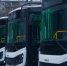 «Можно наклонить при посадке пассажиров». В Петрозаводск прибыли 10 новых автобусов - Gubdaily.Ru