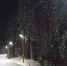 лыжи_Фонтаны_лыжня - Петрозаводск говорит