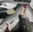 Более 20 килограммов недоброкачественной продукции обнаружили в кафе в Прионежском районе - StolicaOnego.Ru