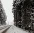 снежная дорога - Петрозаводск говорит
