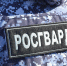 Сотрудники Росгвардии обеспечили правопорядок в рождественскую ночь - Росгвардия