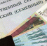 Материнский капитал вырастет с февраля почти на 7% - StolicaOnego.Ru