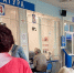 Для некоторых россиян ввели бесплатные генетические тесты - Gubdaily.Ru