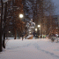 петух на Кукковке - Петрозаводск говорит
