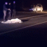 Названо, сколько человек погибли на дорогах в Карелии - Gubdaily.Ru