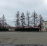 стройка - Петрозаводск говорит