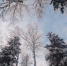 зимнее небо - Петрозаводск говорит