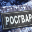 В Петрозаводске сотрудник Росгвардии задержал грабителя в свой выходной день - StolicaOnego.Ru