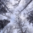 Морозы до -26°С вернутся в Карелию 6 февраля - StolicaOnego.Ru