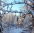 Погода на 8 февраля - Петрозаводск говорит