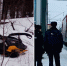 В Карелии водитель снегохода врезался в поезд - Gubdaily.Ru