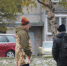 В Карелии мужчину обманули при покупке бревен - Gubdaily.Ru