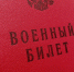 Военный билет - Петрозаводск говорит