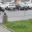 За выбрасывание мусора в урну у подъезда грозит штраф - Gubdaily.Ru