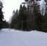 Лыжная трасса Фонтаны - Петрозаводск говорит