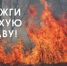 МЧС Карелии попросило не поджигать сухую траву - StolicaOnego.Ru