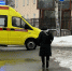 В Карелии выявили семь человек с опасным синдромом Такаясу - Gubdaily.Ru