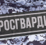 Шесть попыток хищения пресечено сотрудниками Росгвардии в Карелии - Росгвардия