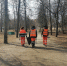 Уборка в парке - Петрозаводск говорит