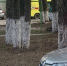 12-летний мальчик изрезал ножом детей на детской площадке - Gubdaily.Ru