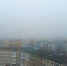 туман_утро_весна_осень - Петрозаводск говорит