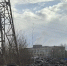 Нашли тех, кто незаконно выбрасывает покрышки в Петрозаводске - Gubdaily.Ru