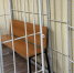 В Карелии 19-летний педофил надолго отправится за решетку - Карелия.ньюс