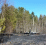 Спасатели предотвратили лесной пожар в Олонецком районе - StolicaOnego.Ru