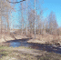Весна погода Карелия - Петрозаводск говорит