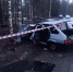 В Петрозаводске за смертельное ДТП вынесли приговор 20-летнему водителю - Gubdaily.Ru
