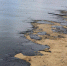 На популярном курорте в море образовалось огромное нефтяное пятно - Gubdaily.Ru