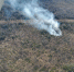 Три лесных пожара потушили за минувшие выходные в Карелии - Карелия.ньюс